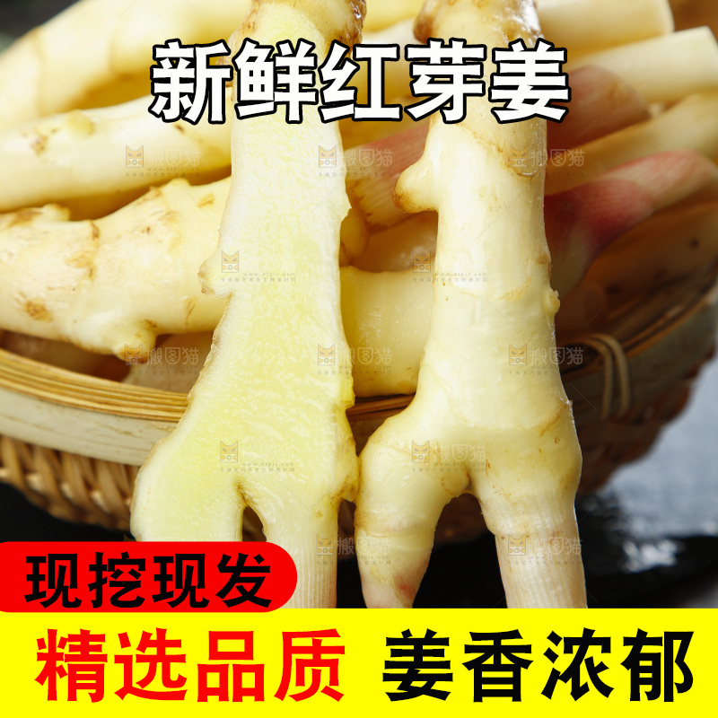 篮子里装着新鲜嫩姜