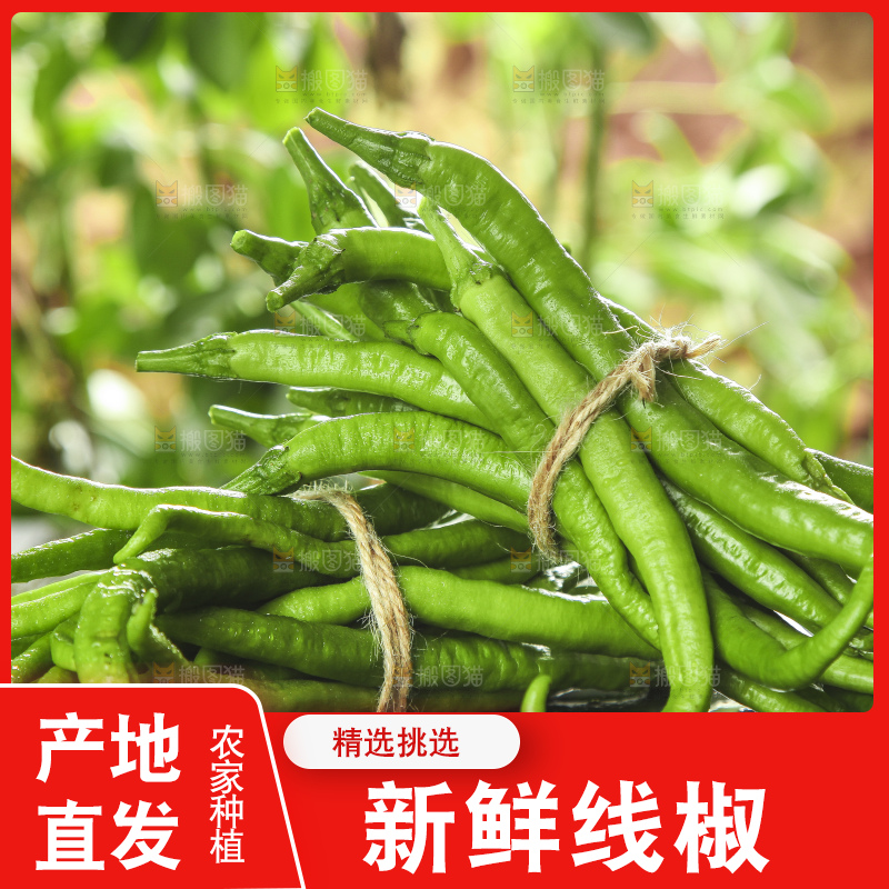 石板上放着一捆线椒