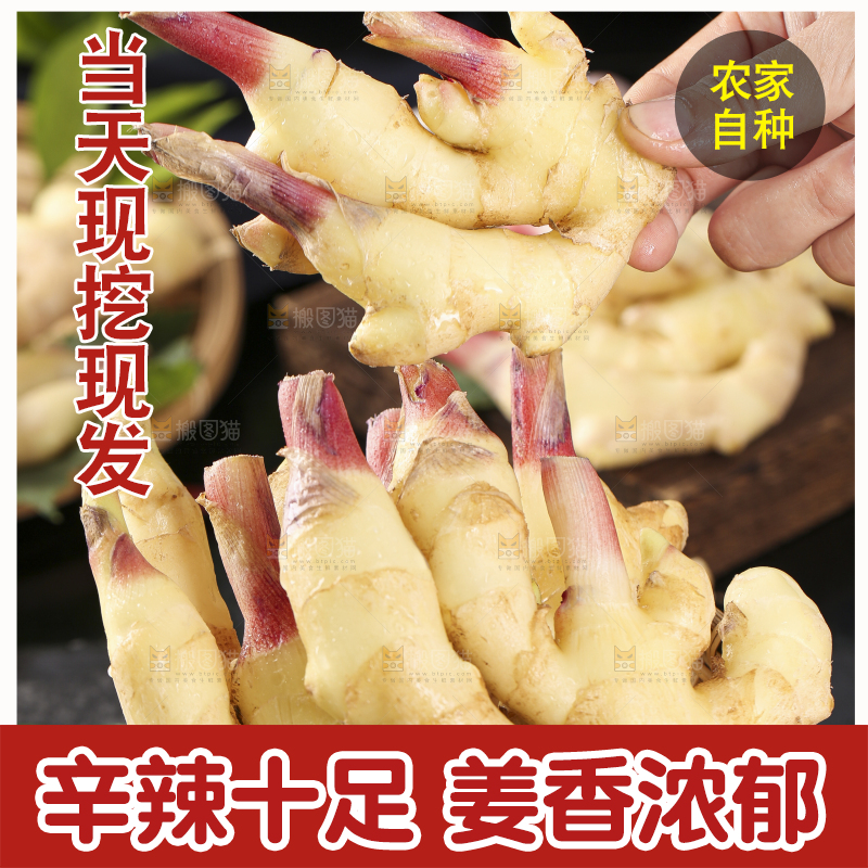 篮子子装着新鲜生姜