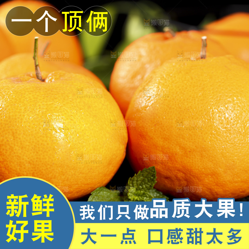 石板上摆放着四川春见耙耙柑