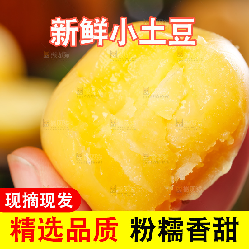 手里拿着恩施小土豆