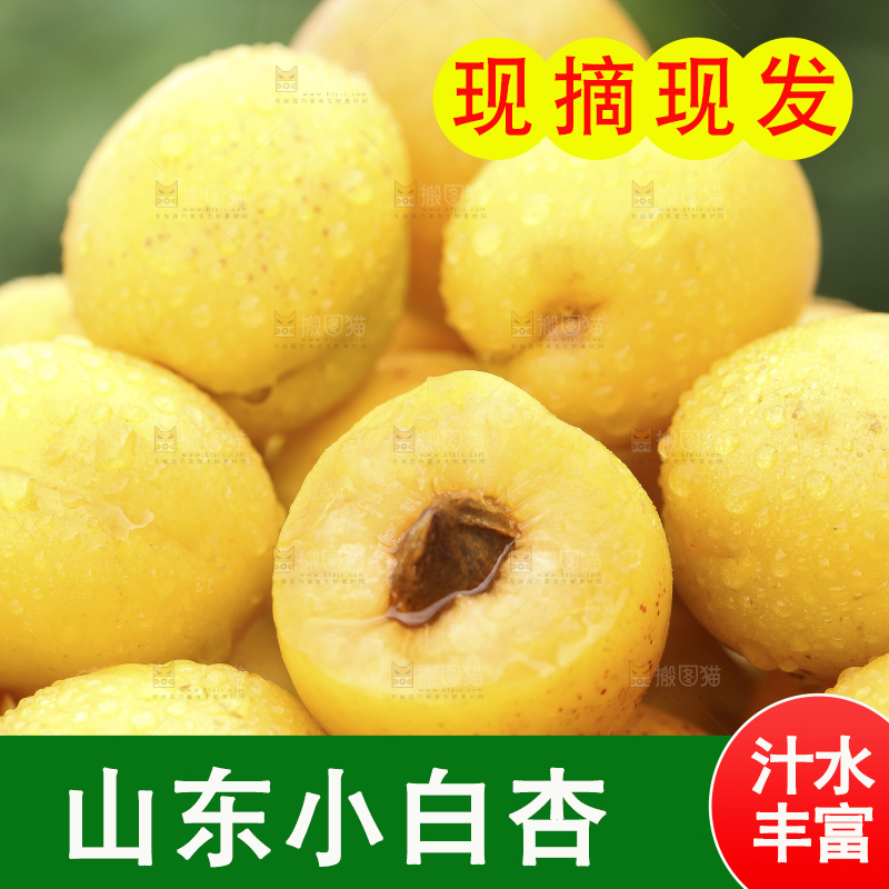 堆放着一堆的小白杏