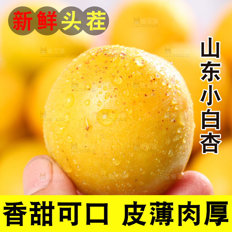 手里拿着小白杏