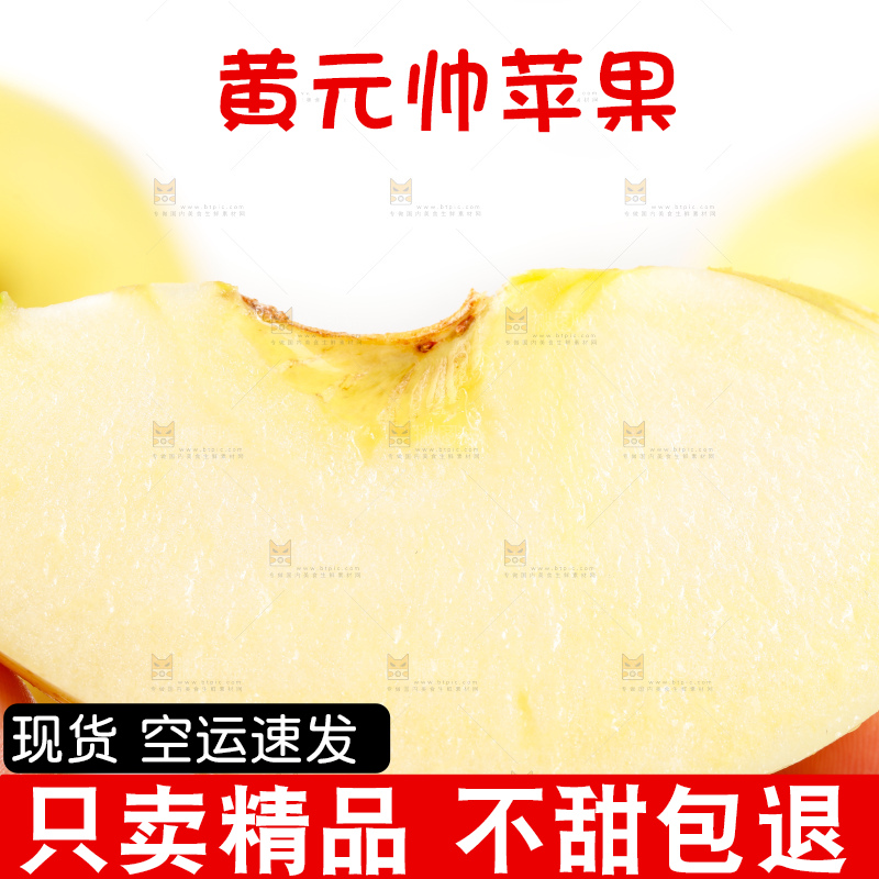 浅底上的烟台黄元帅