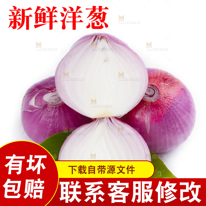 白底上的新鲜洋葱