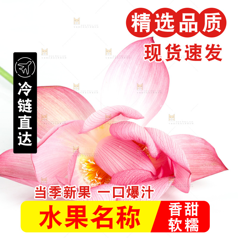 白底上摆放着莲花