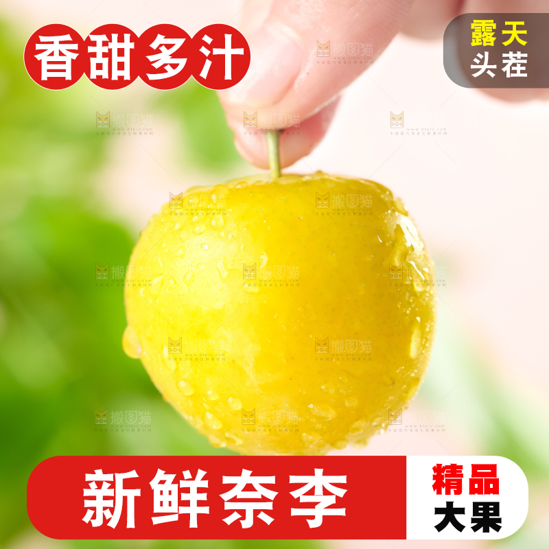 亮底上的九峰山黄金奈李