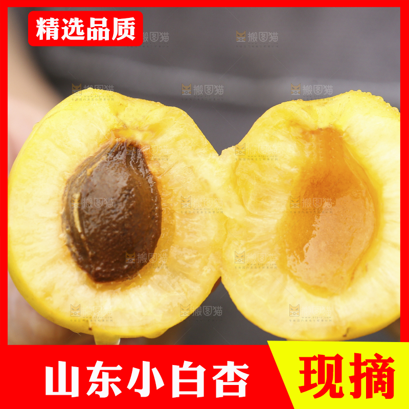 手里拿着珍珠油杏
