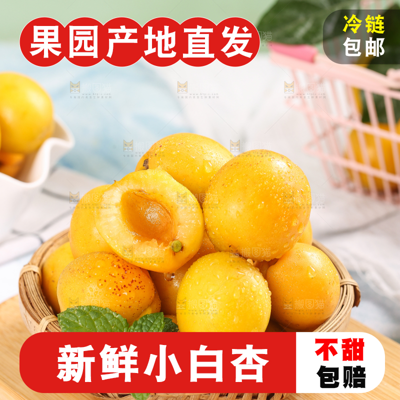 篮子里装着白杏