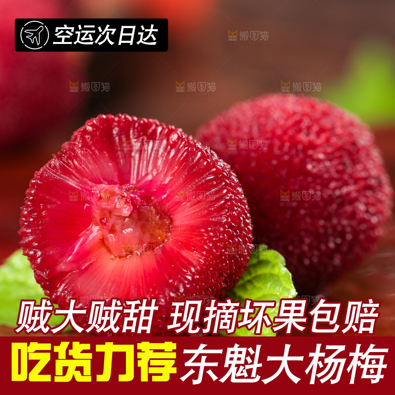杨梅