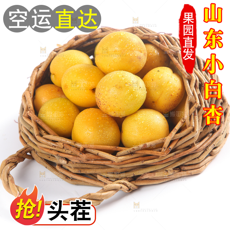 篮子里装着杏子