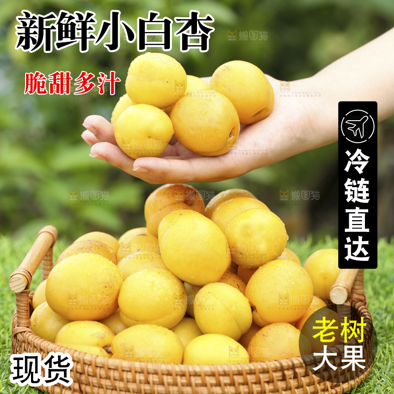 绿地上放着一篮小白杏