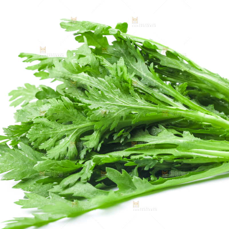 白底上的蓬蒿菜