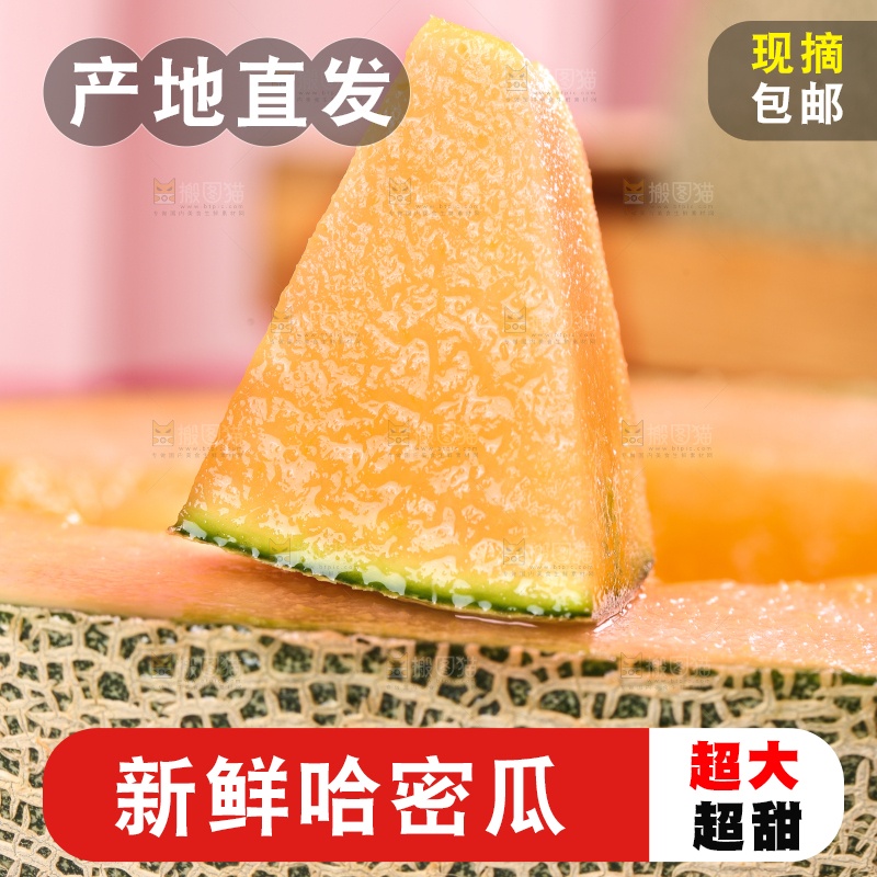 哈密瓜主图