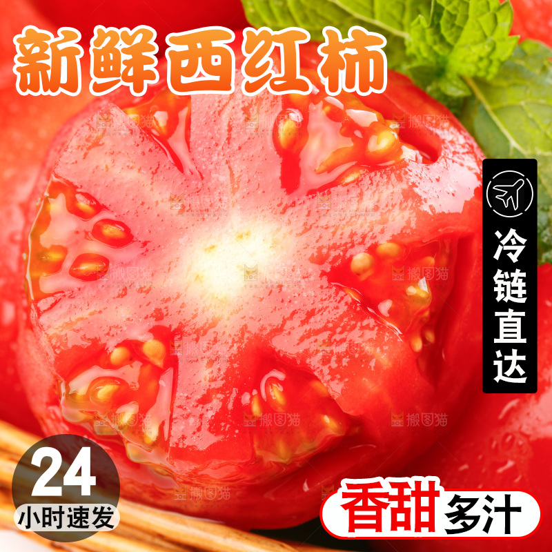亮底上的新鲜西红柿