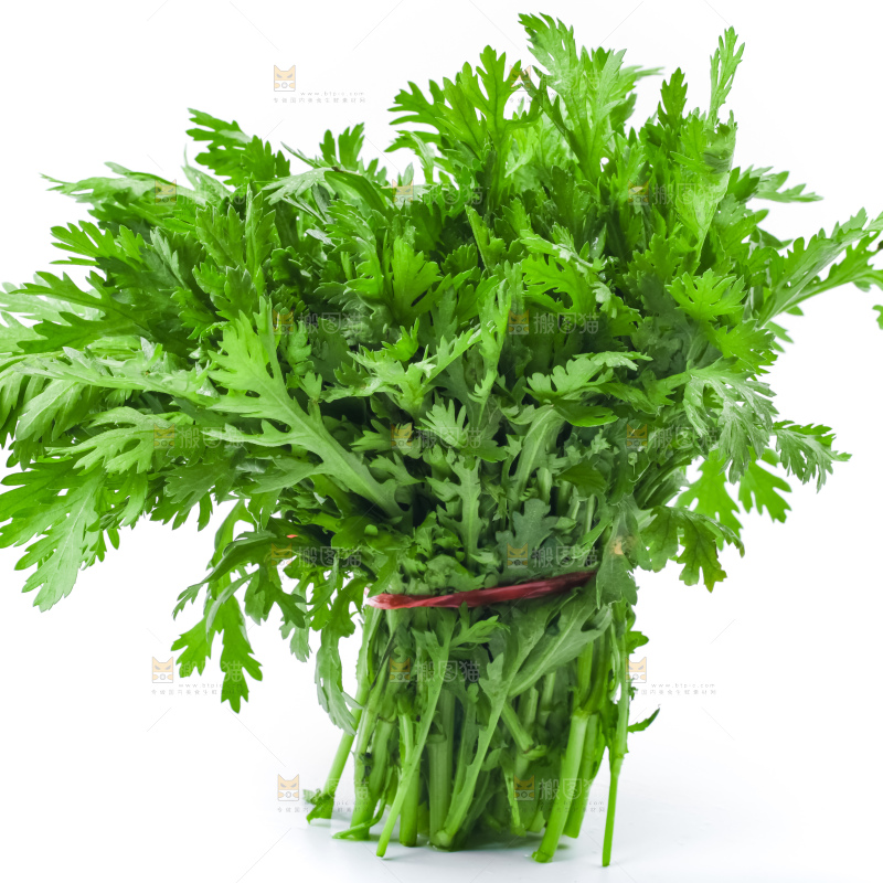 白底上的蓬蒿菜