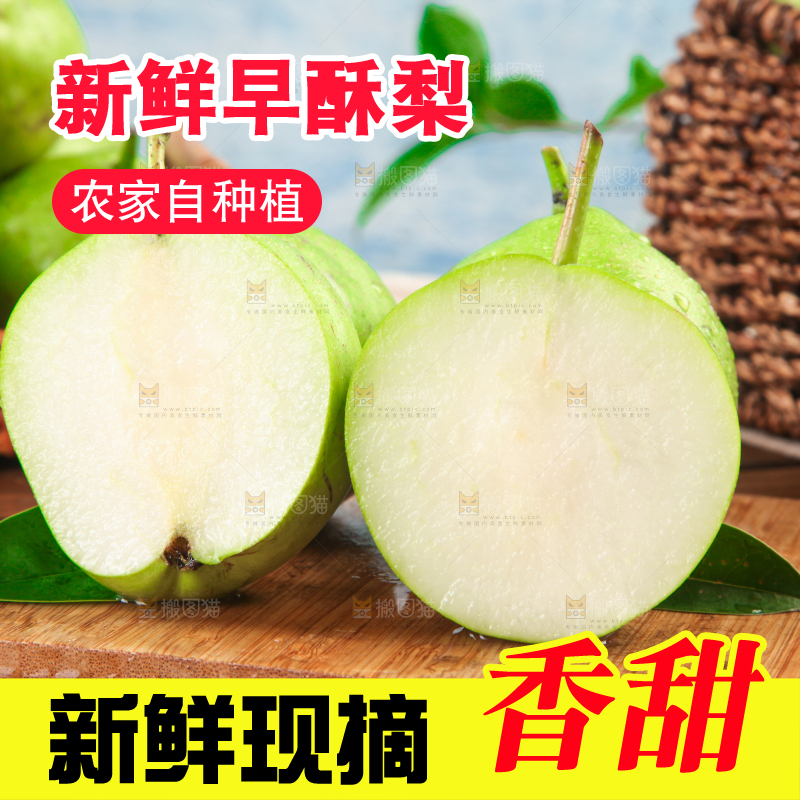 木底上摆放着早酥梨