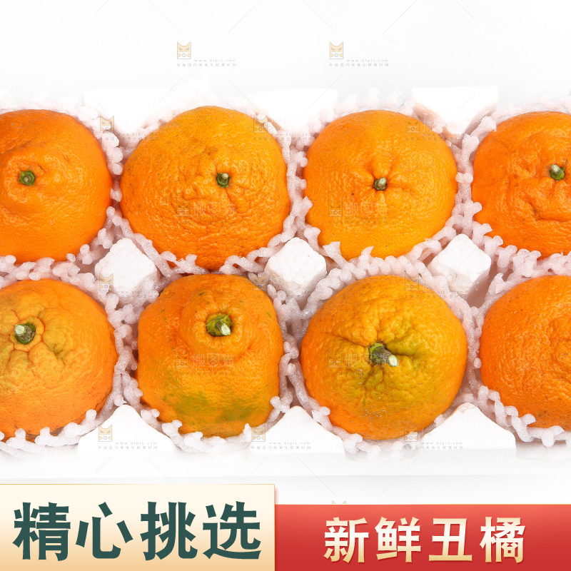 泡沫箱里的丑八怪