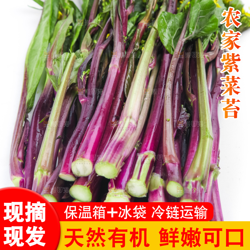 白底上的紫菜苔