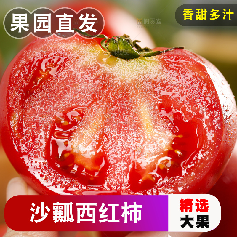 手里拿着米易沙瓤西红柿