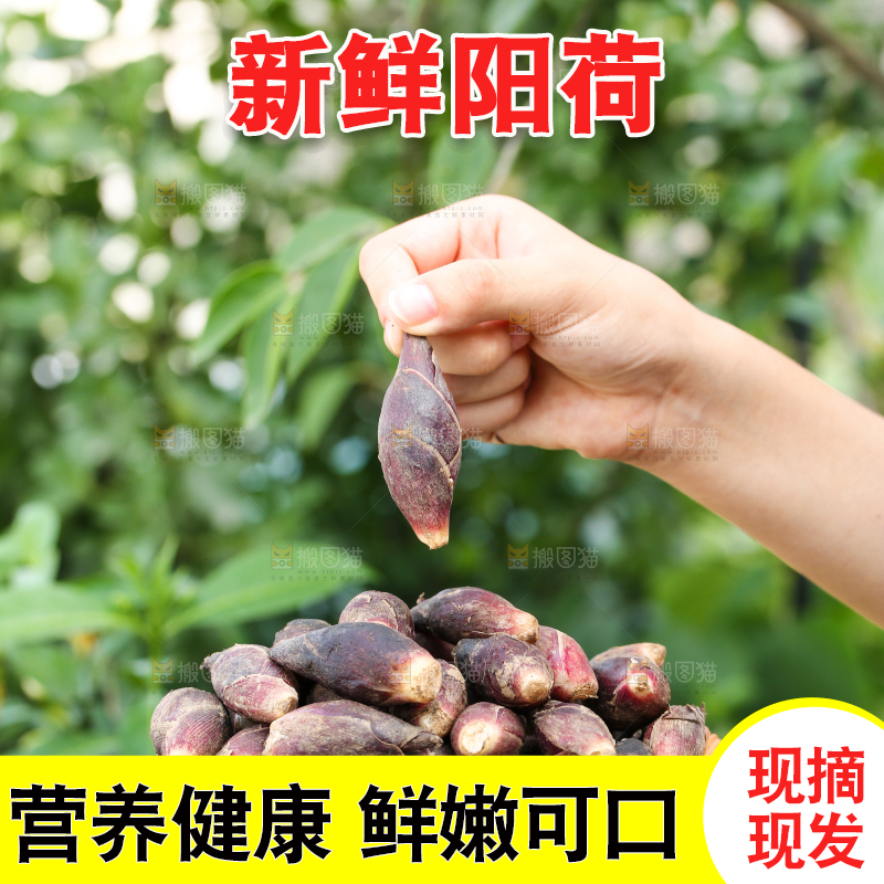 手里端着一篮贵州新鲜阳荷
