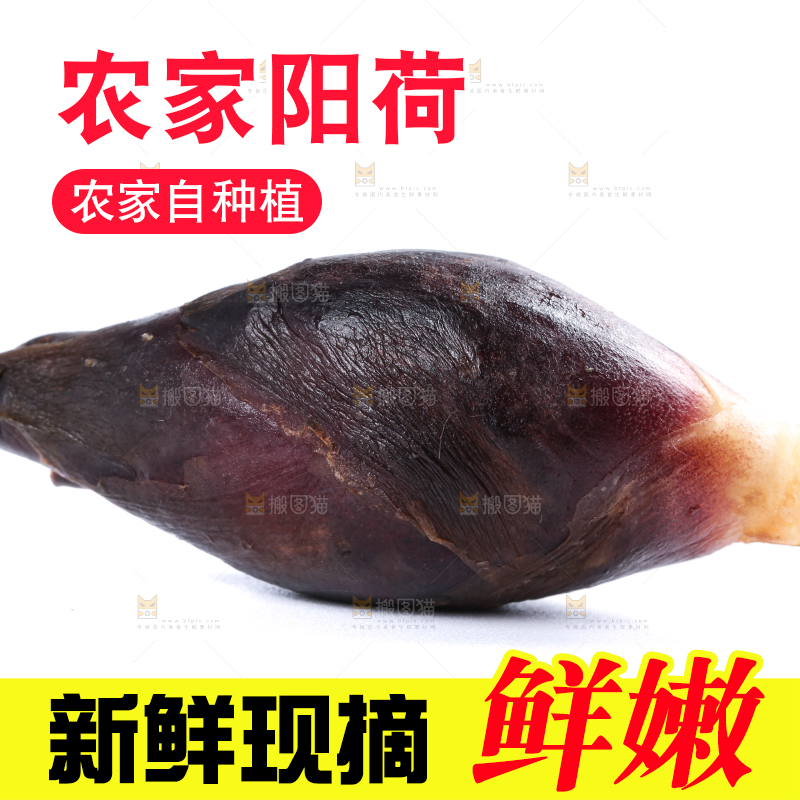 白底上摆放着阳荷姜