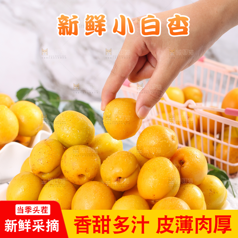 手里拿着新鲜小白杏