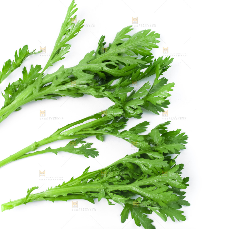 白底上的蓬蒿菜