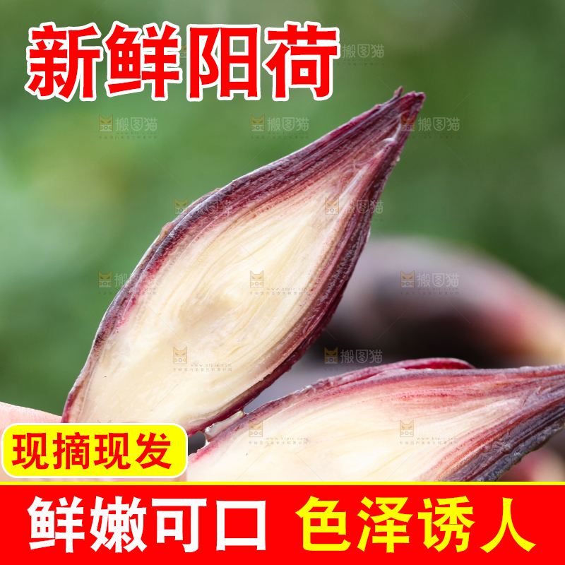 手里拿着洋火姜