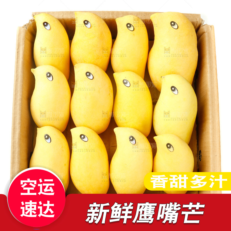 纸箱里装着鹰嘴芒