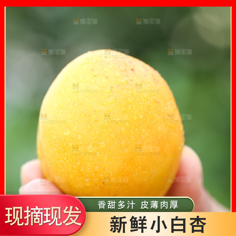 手里拿着杏子