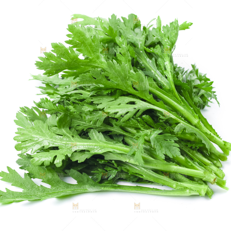 白底上的蓬蒿菜