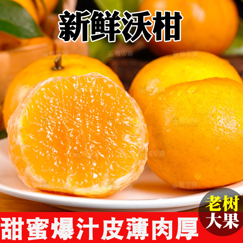 木板上的广西武鸣沃柑