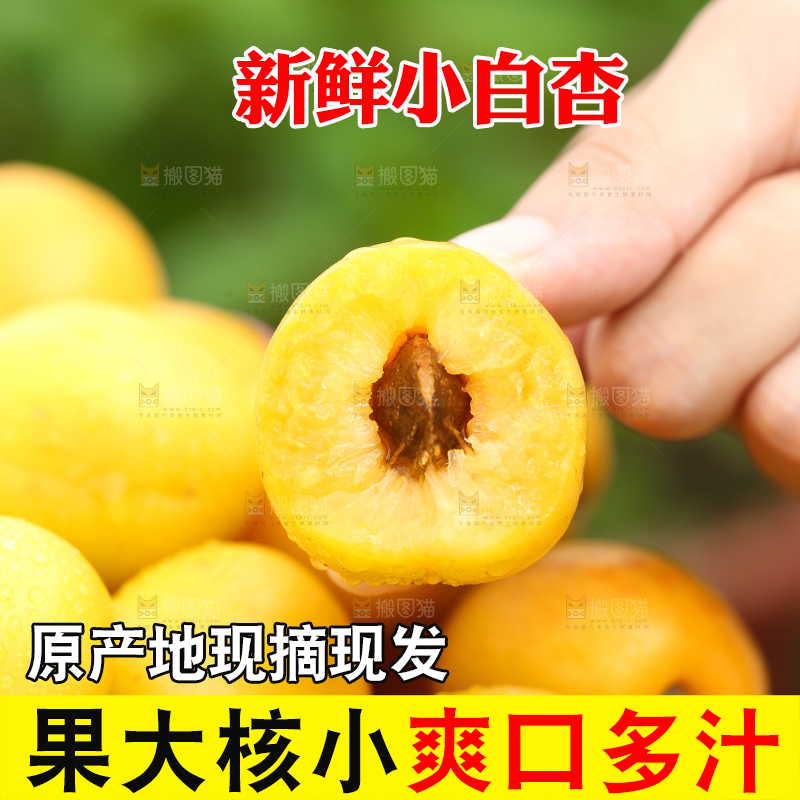 手里拿着杏子