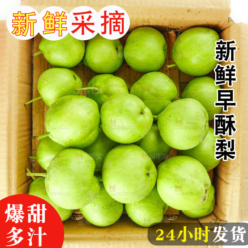 纸箱里装着早酥梨