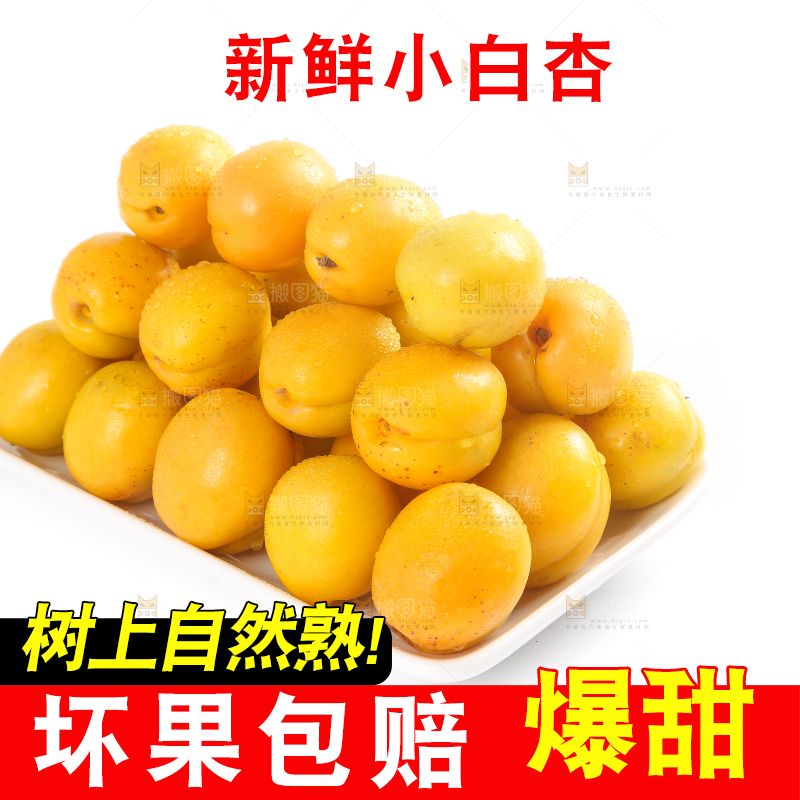 盘子里装着新疆小白杏