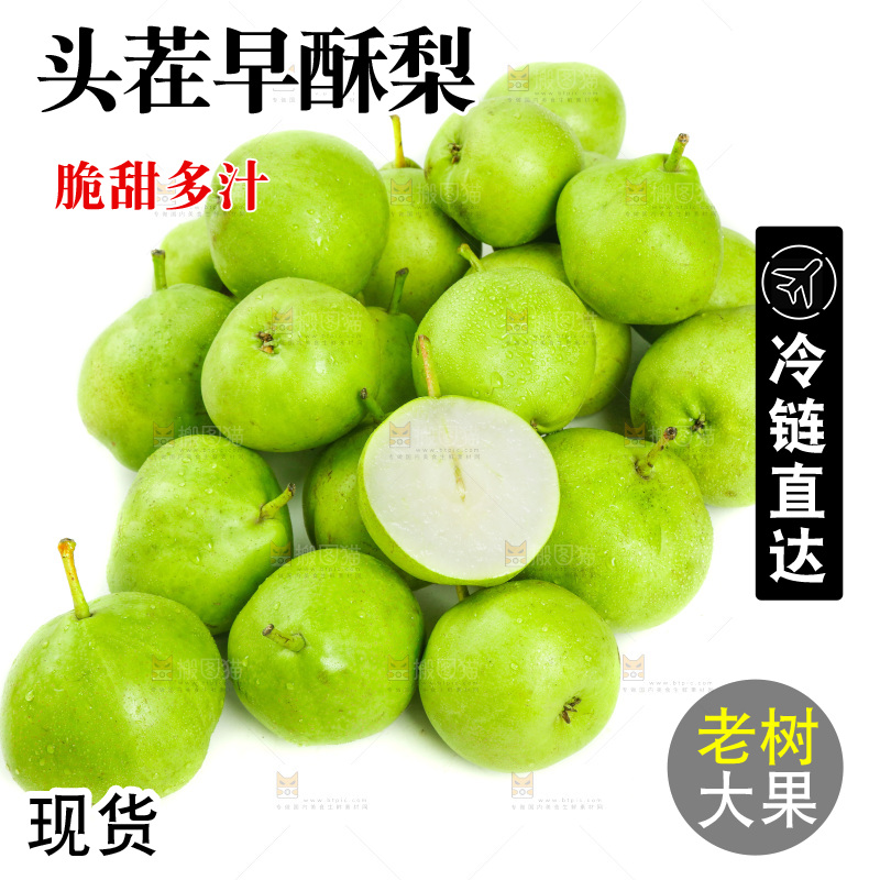 白底上摆放着陕西早酥梨