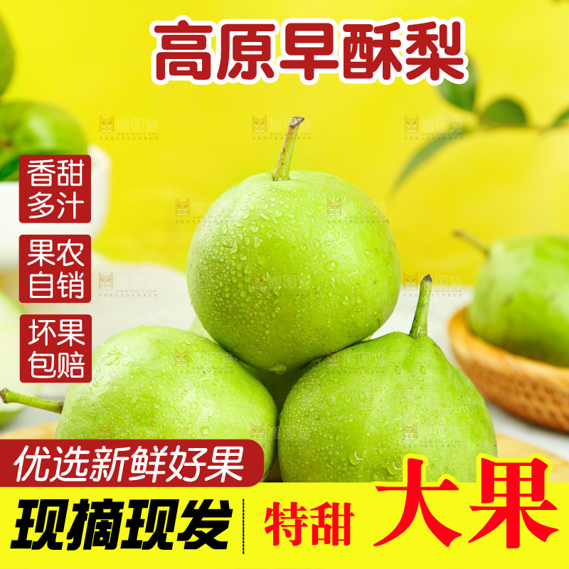 木底上摆放着陕西早酥梨