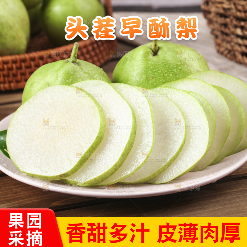 盘子里装着早酥梨