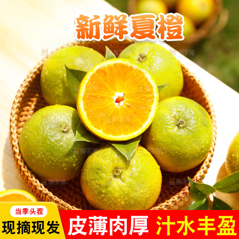 木底上摆放着湖北秭归夏橙