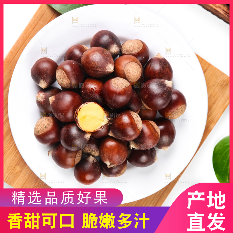 浅底上的马蹄果