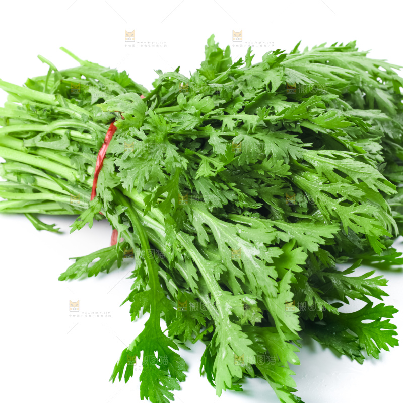 白底上的蓬蒿菜