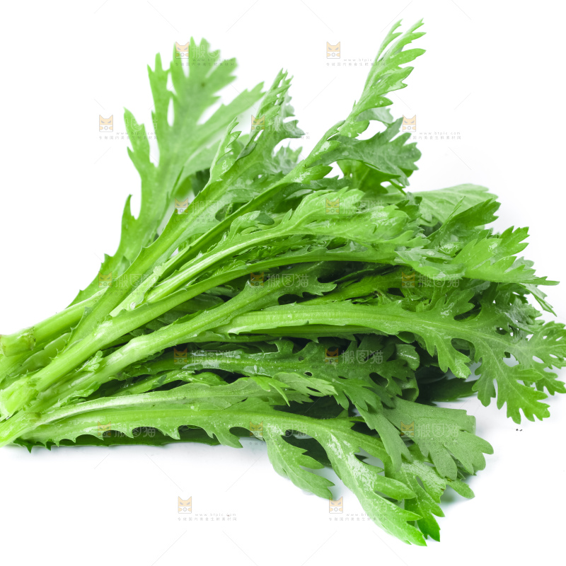 白底上的蓬蒿菜