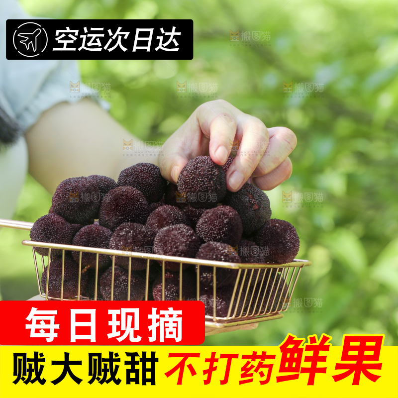手里拿着一篮杨梅