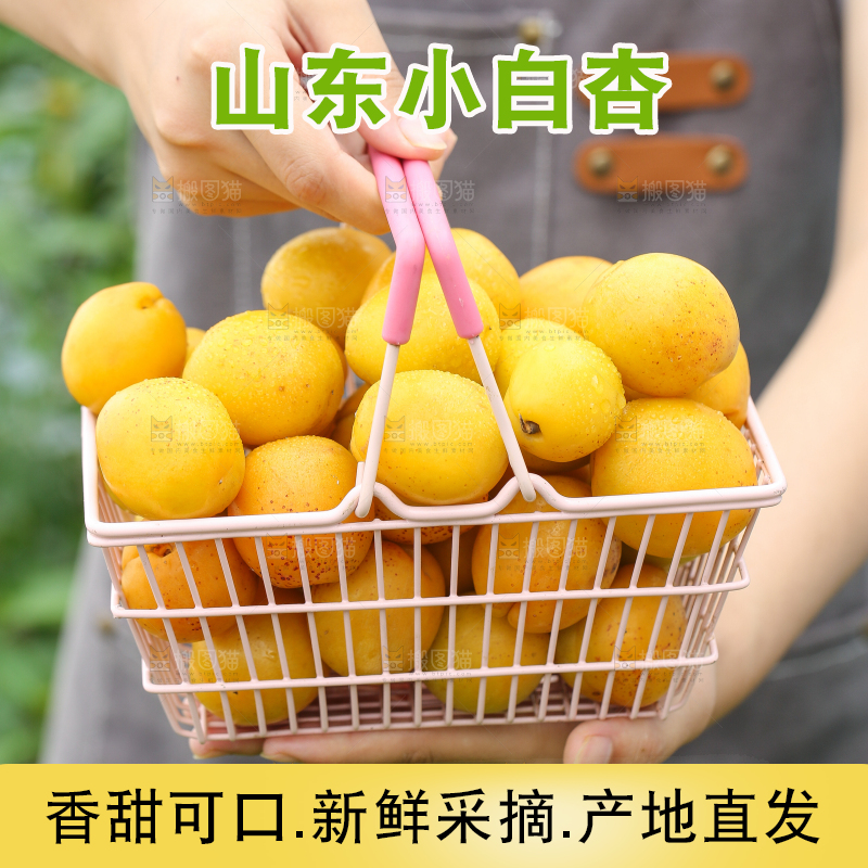 手里拿着一篮小白杏