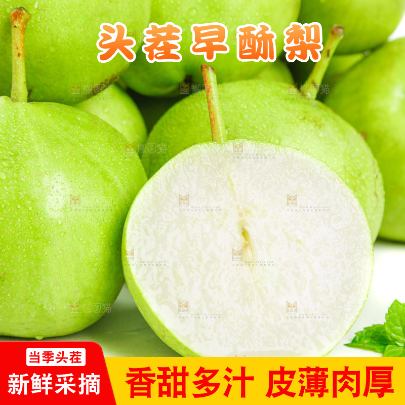 白底上摆放着陕西早酥梨