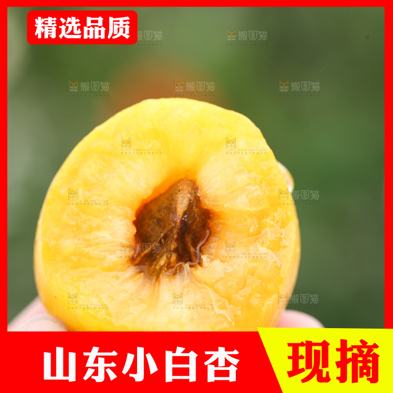 手里拿着杏子