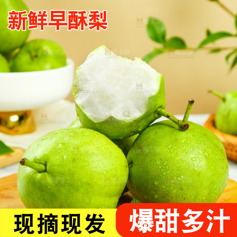 木底上摆放着早酥梨