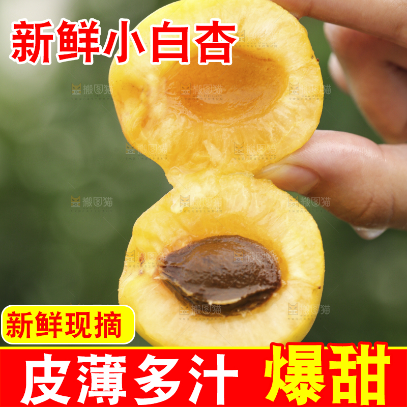 手里拿着珍珠油杏
