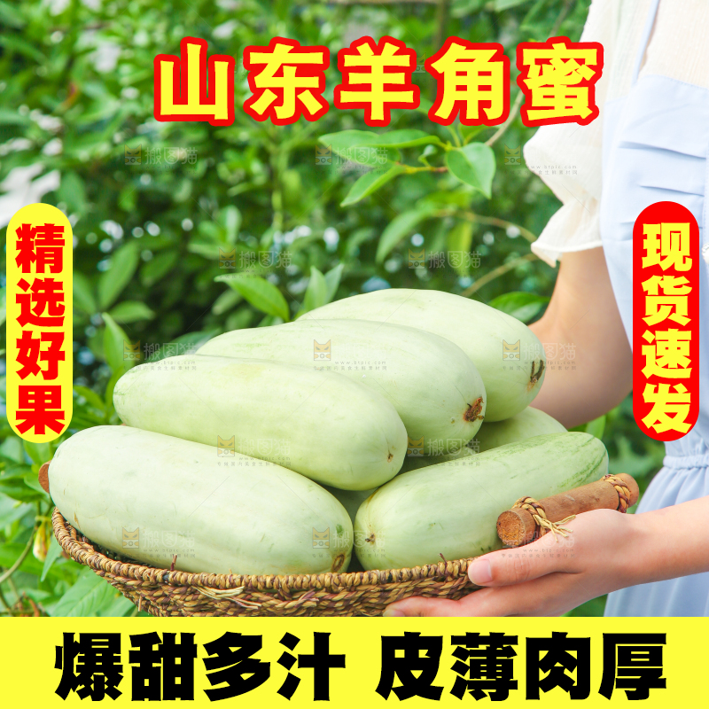 手里端着一篮山东羊角蜜甜瓜